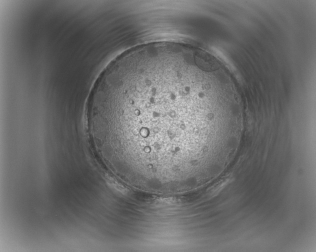 X0000071910883200607212039