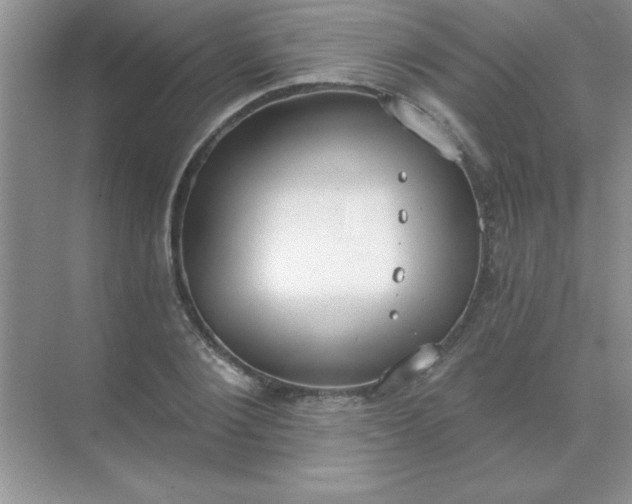 X0000071910884200607212039