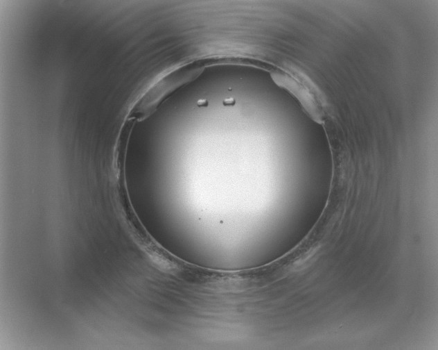 X0000071910885200607212039