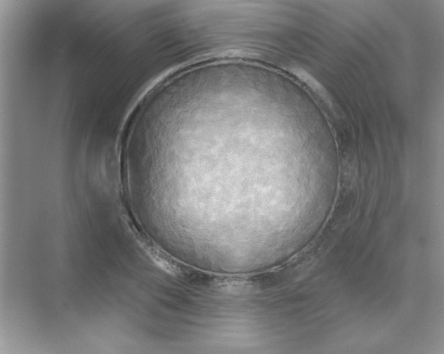 X0000071910886200607212039