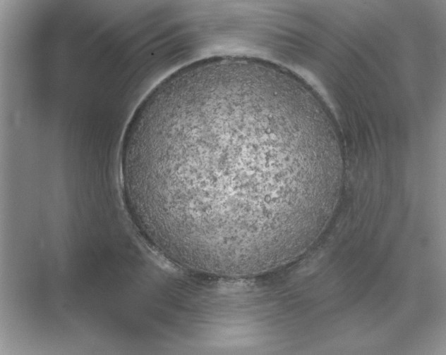 X0000071910887200607212039