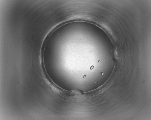 X0000071910888200607212039