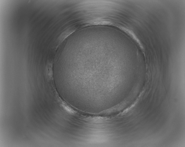 X0000071910889200607212039