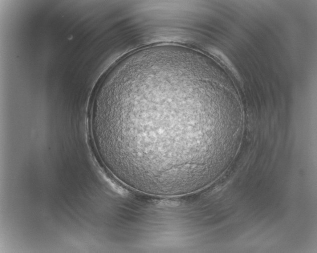 X0000071910890200607212039