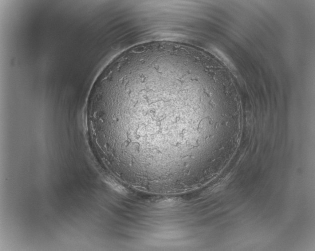 X0000071910891200607212039