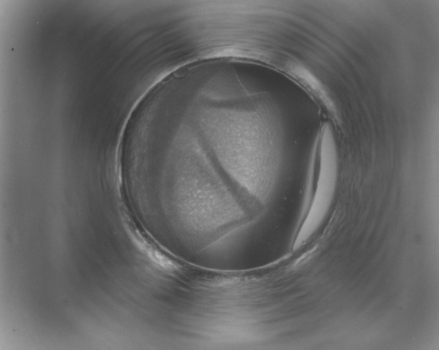 X0000071910892200607212039