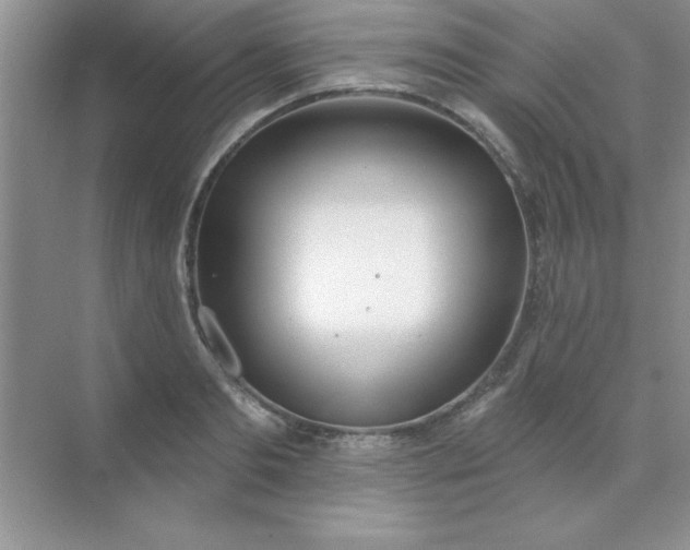 X0000071910893200607212039