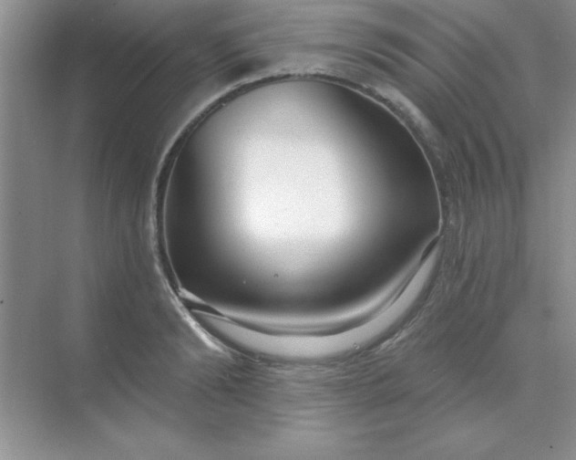 X0000071910894200607212039