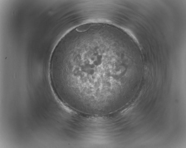 X0000071910895200607212039