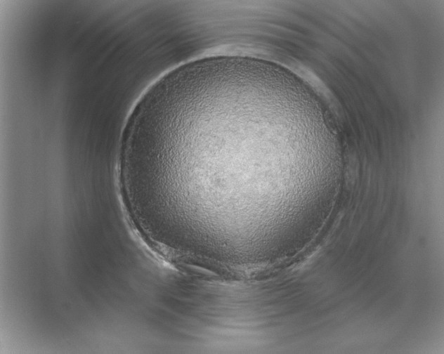 X0000071910896200607212039