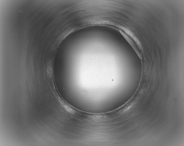 X0000071910897200607212039