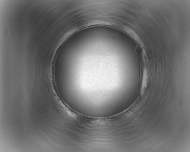 X0000071910898200607212039