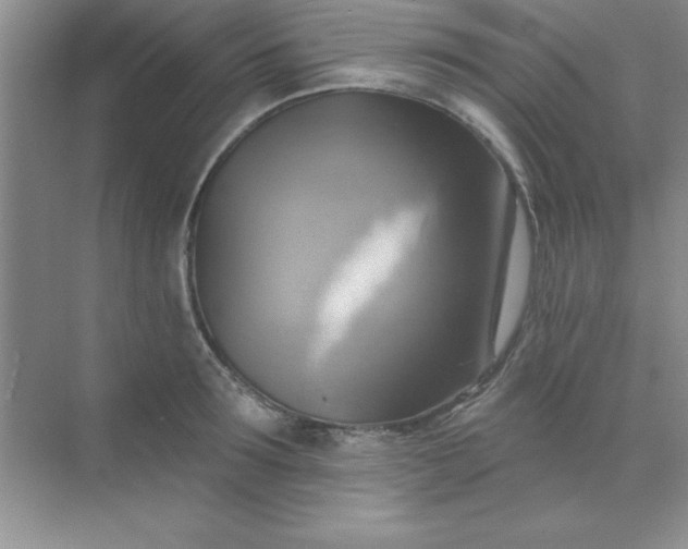 X0000071910899200607212039