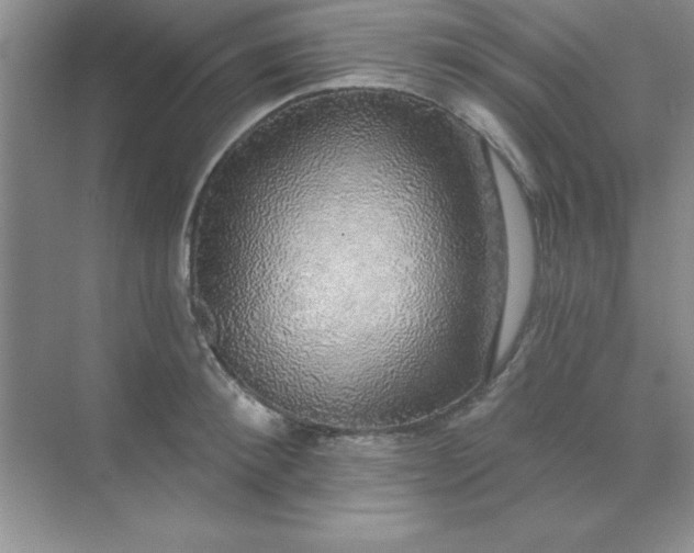 X0000071910900200607212039