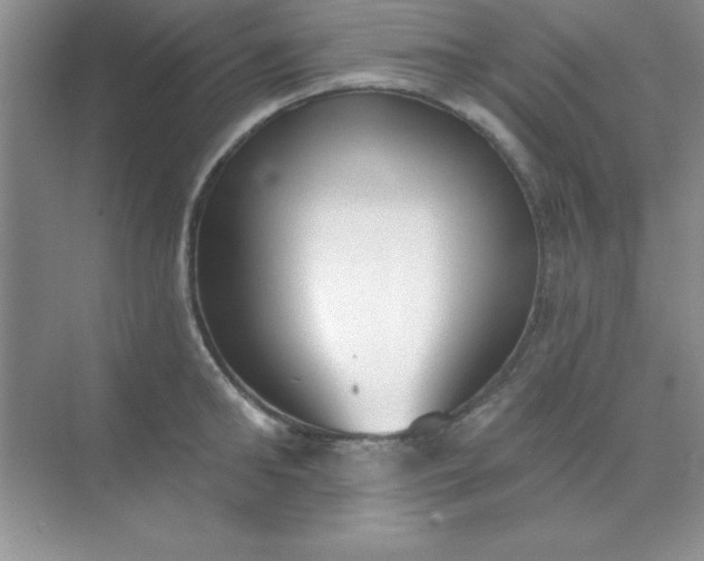 X0000071910902200607212039