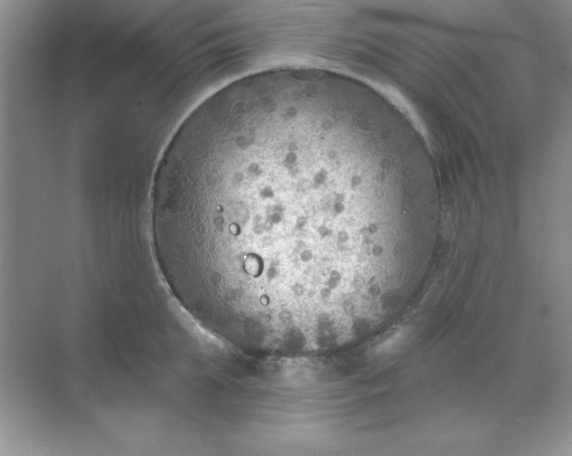 X0000071910903200607212039