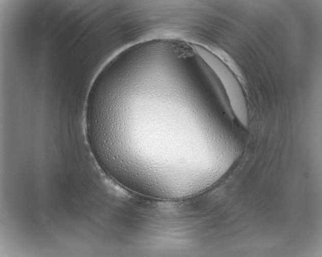 X0000071910904200607212039