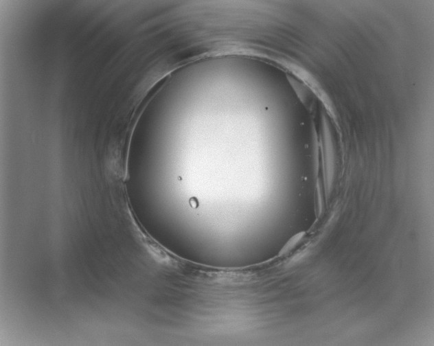 X0000071910905200607212039