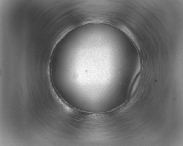 X0000071910906200607212039