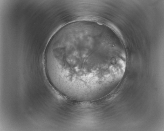 X0000071910907200607212039