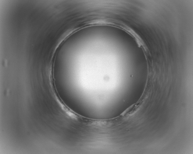 X0000071910909200607212039