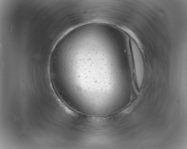 X0000071910910200607212039