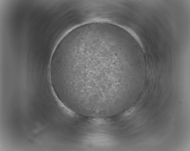 X0000071910911200607212039