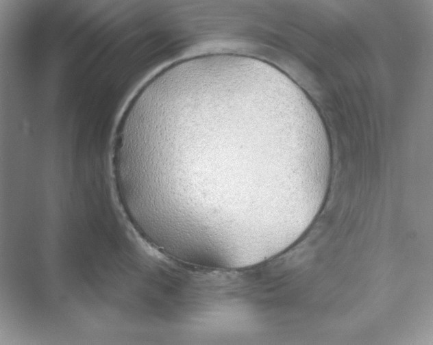 X0000071910912200607212039