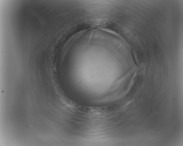 X0000071910913200607212038