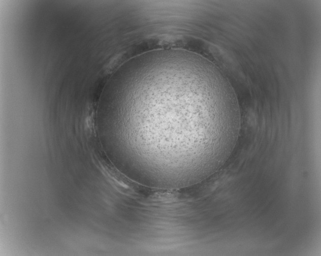 X0000071910914200607212038