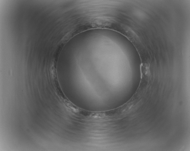 X0000071910915200607212038