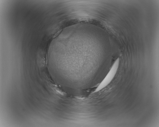 X0000071910916200607212038