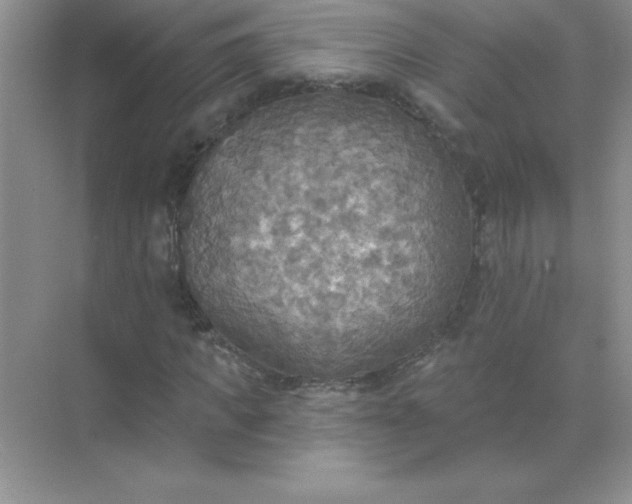 X0000071910917200607212038