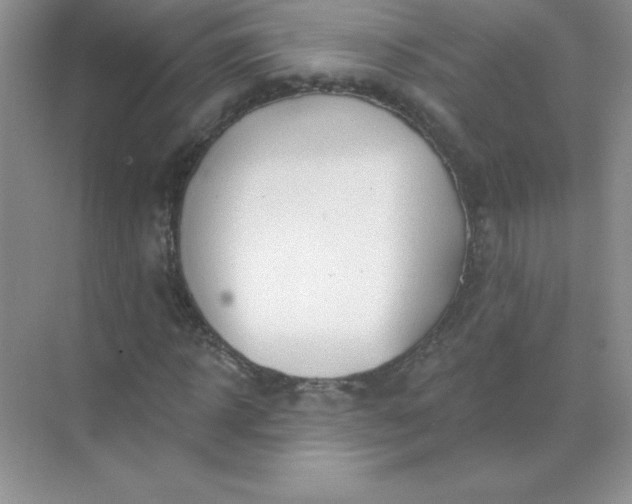 X0000071910918200607212038