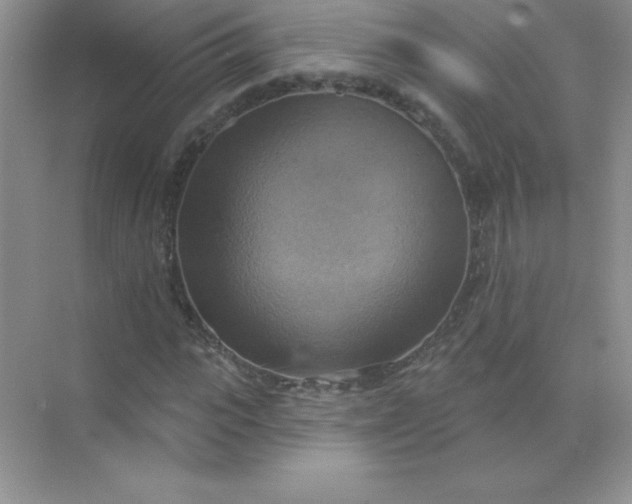 X0000071910919200607212038