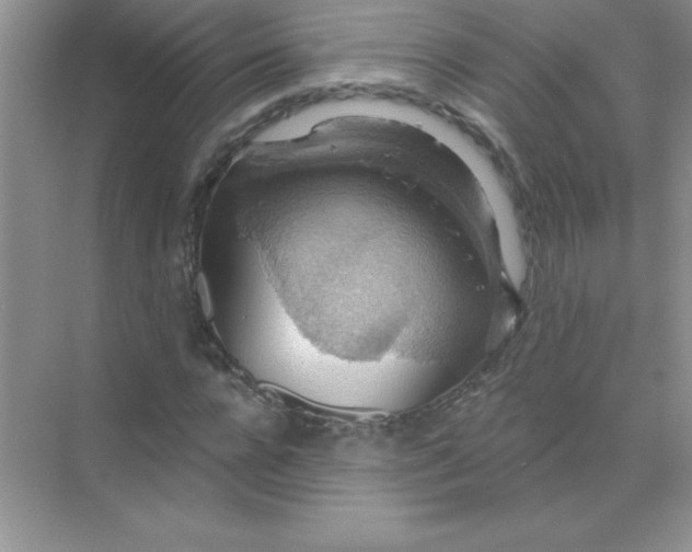 X0000071910920200607212038