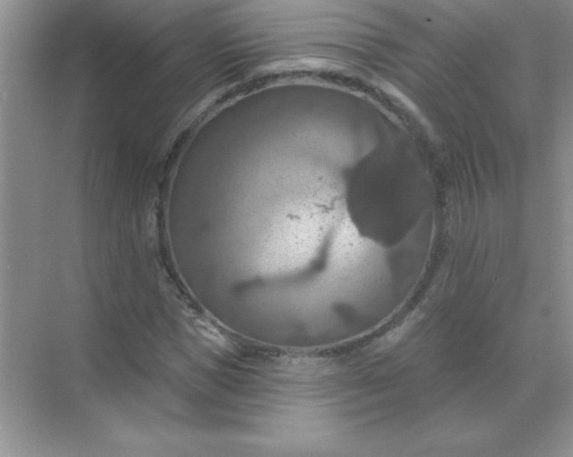 X0000071910921200607212038