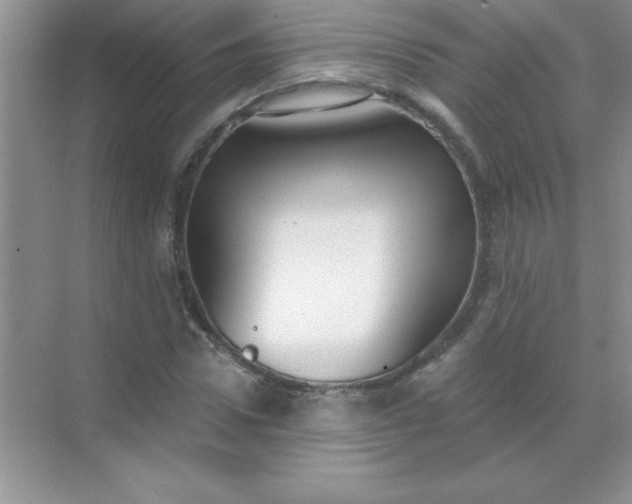 X0000071910922200607212038