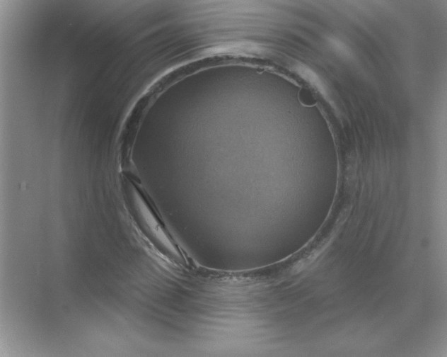 X0000071910923200607212038