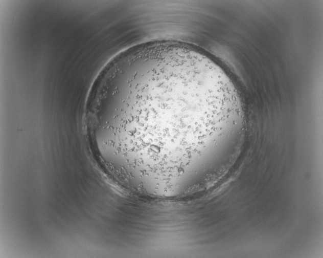 X0000071910924200607212038