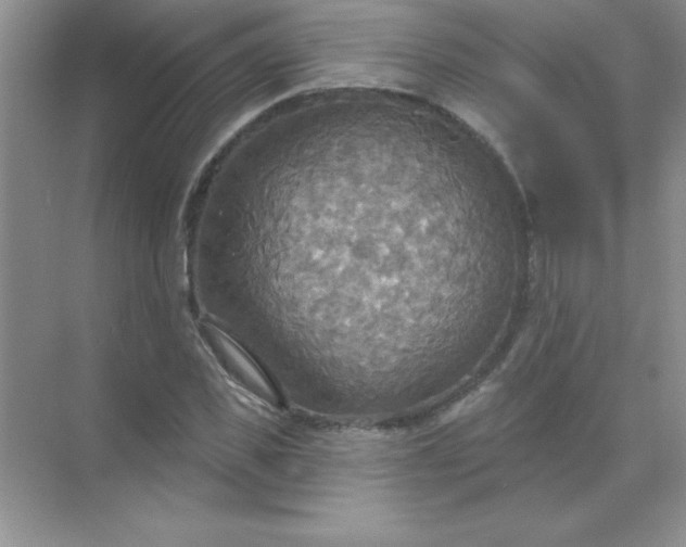 X0000071910925200607212038