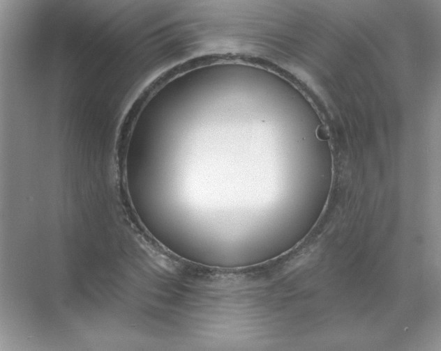 X0000071910927200607212038