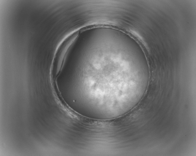 X0000071910928200607212038