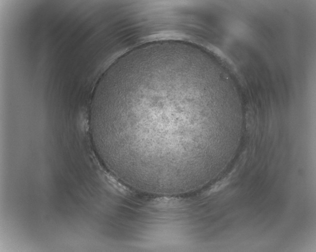 X0000071910929200607212038