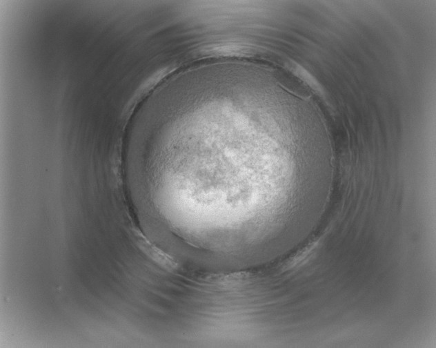 X0000071910930200607212038