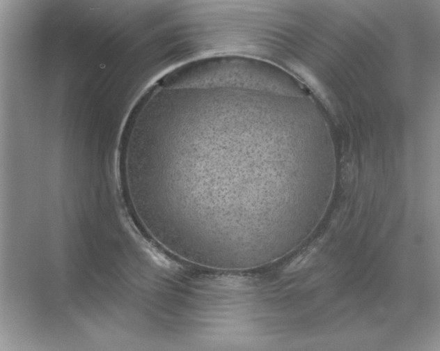 X0000071910932200607212038