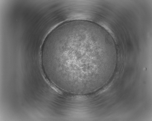 X0000071910933200607212038