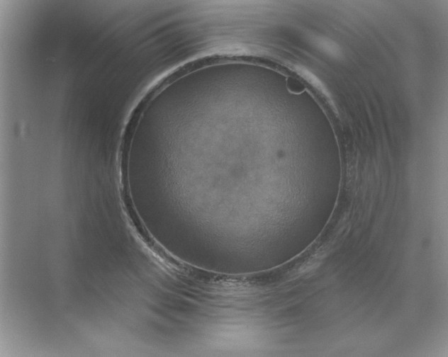 X0000071910935200607212038