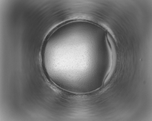 X0000071910936200607212038