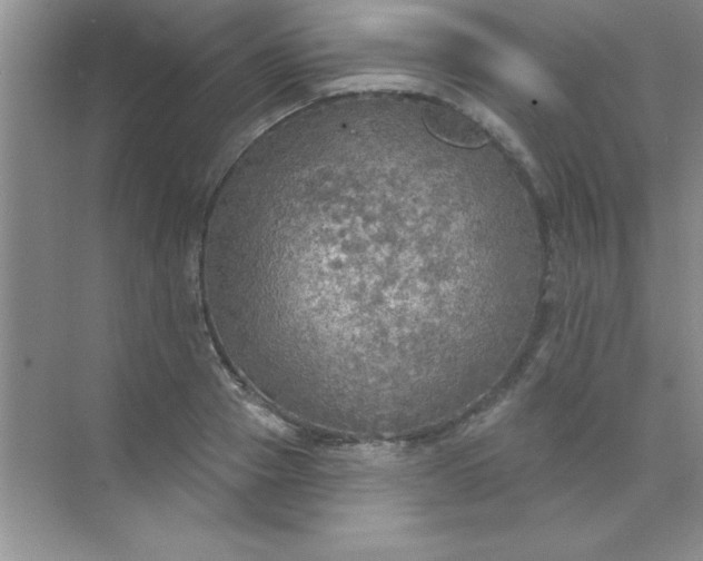 X0000071910937200607212038